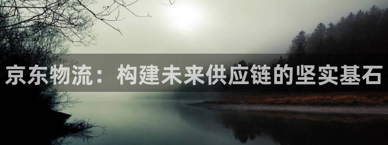 28圈注册上限是啥意思：京东物流：构