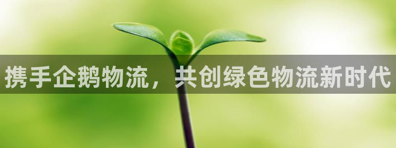 28圈哪个最赚钱