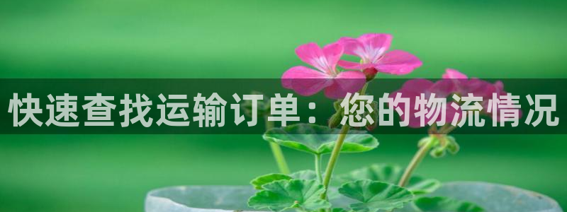 28圈免费充钱
