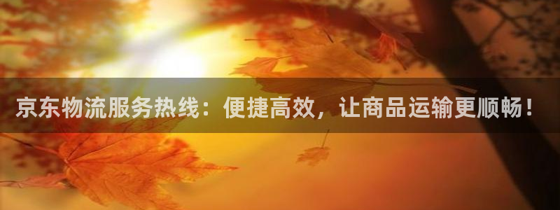 28圈是正规平台吗