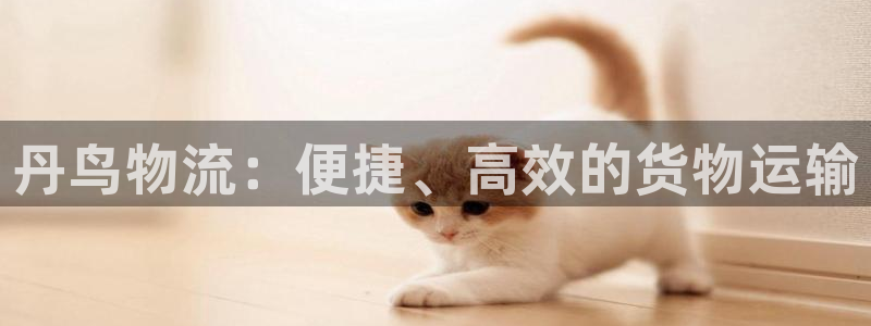 28圈反水：丹鸟物流：便捷、高效的货