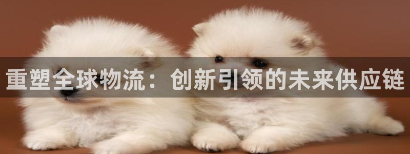 28圈娱乐官网网页入口：重塑全球物流：创新引领的未来供应链