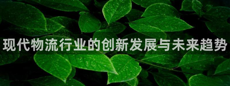 28圈注册链接教程：现代物流行业的创