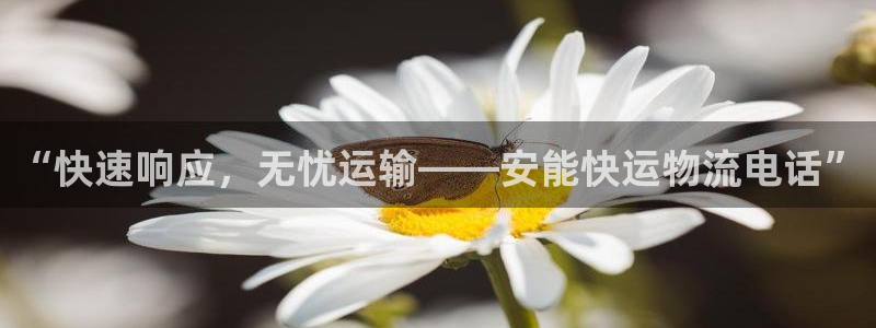 28圈p扣除：“快速响应，无忧运输—