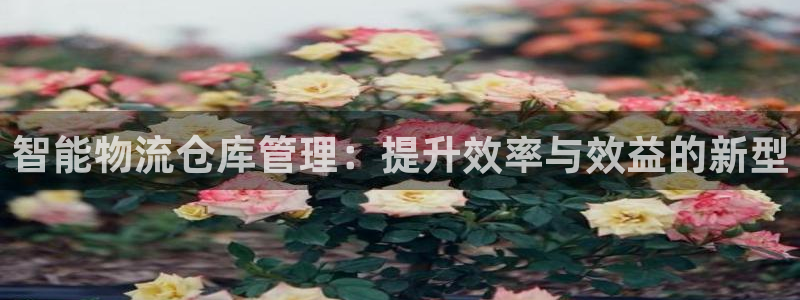 28圈游戏最新版