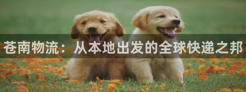 28圈.ccm官网：苍南物流：从本地