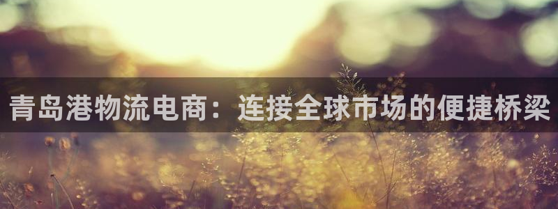 28圈头像：青岛港物流电商：连接全球