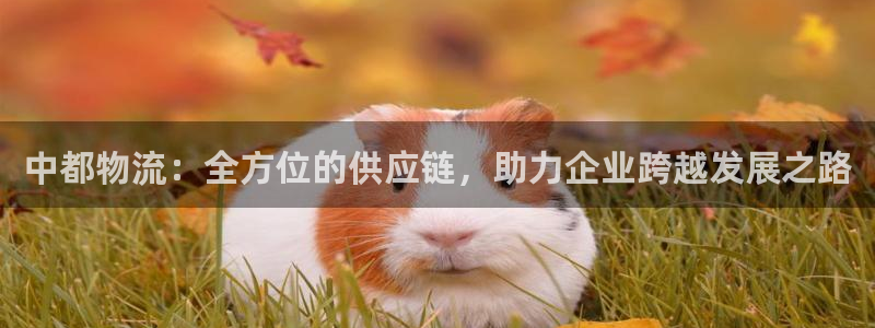 28圈游戏官网平台：中都物流：全方位的供应链，助力企业跨越发