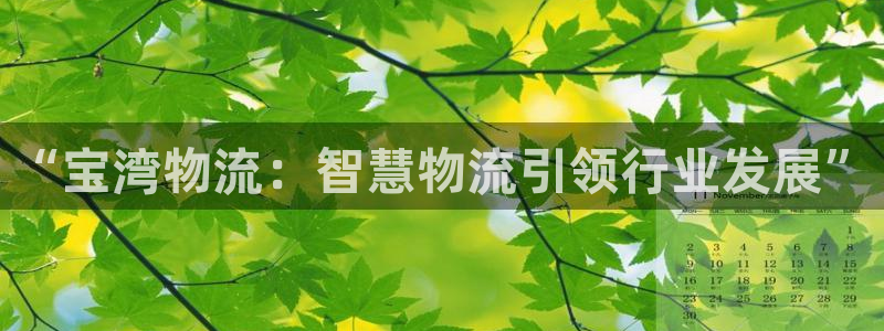 28圈体育下载