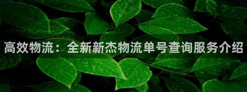 28圈是什么软件：高效物流：全新新杰