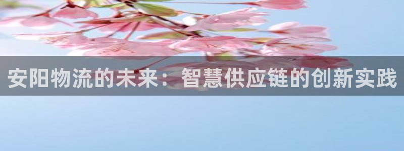 28圈加拿大在线预测：安阳物流的未来