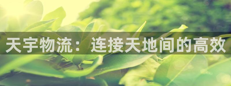28圈提现不到账