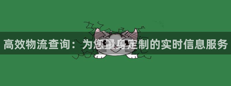 28圈口内径是多大：高效物流查询：为