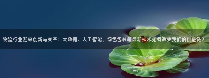 28圈取保：物流行业迎来创新与变革：大数据、人工智能、绿色包