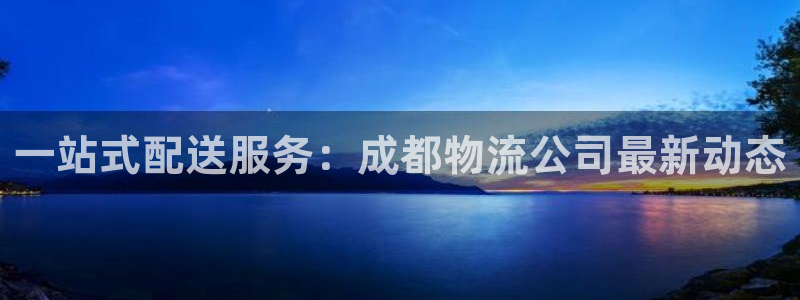 28圈游戏最新版：一站式配送服务：成