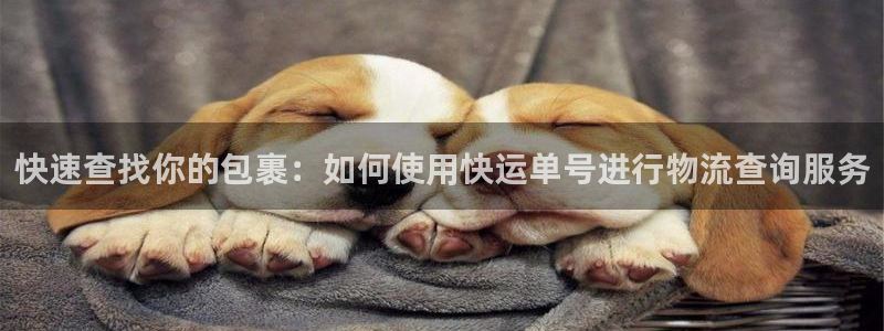 28圈登录用户名登录不上：快速查找你