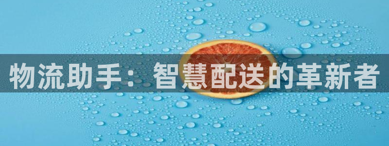 28圈官方网站预测