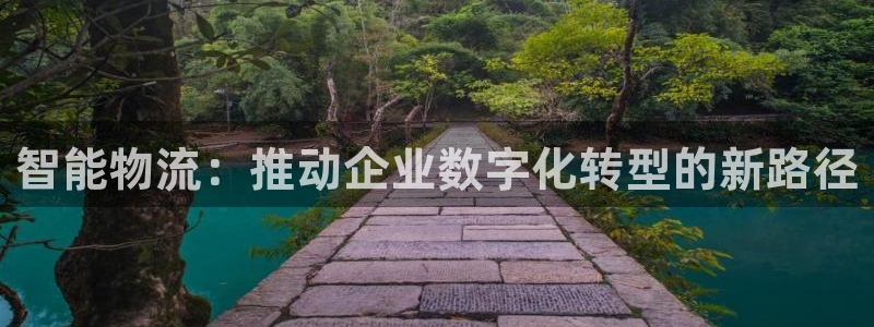 28圈龙虎