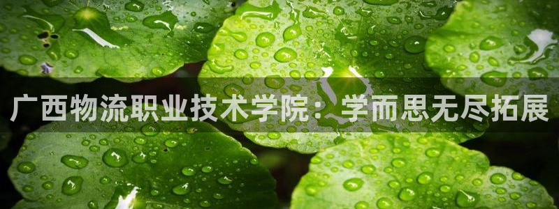 28圈充值不处理会怎么样：广西物流职