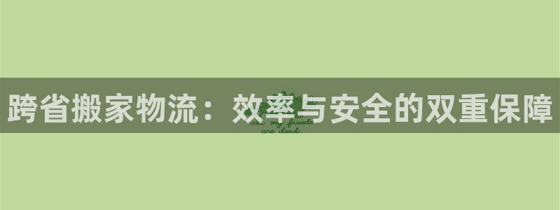 28圈官方官网：跨省搬家物流：效率与