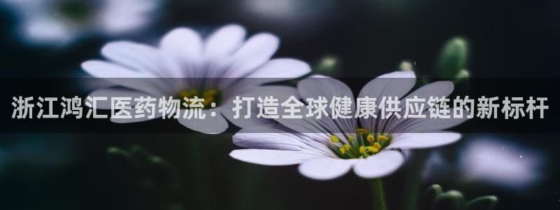 28圈为什么打不开：浙江鸿汇医药物流