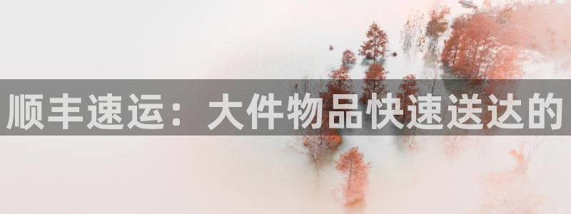 28圈怎么注册下载：顺丰速运：大件物