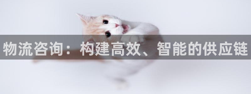 28圈注册网站多少钱：物流咨询：构建