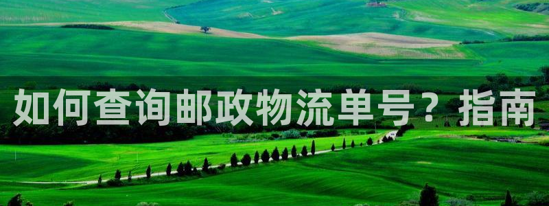 28圈退款：如何查询邮政物流单号？指南