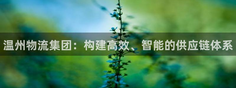 28圈怎么注册账号：温州物流集团：构